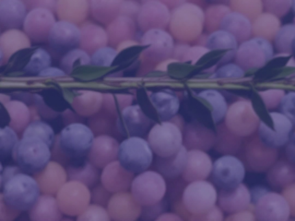 “Advancements in Citrus Research: Union County’s Agricultural Insights from SWFREC”